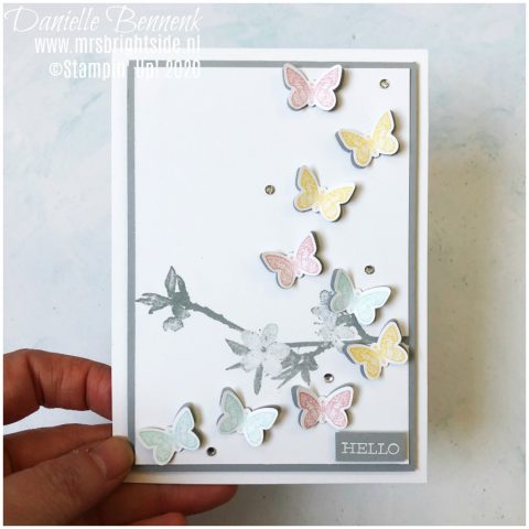 Butterfly Wishes - Creating Kindness - Mrs. Brightside - Danielle Bennenk