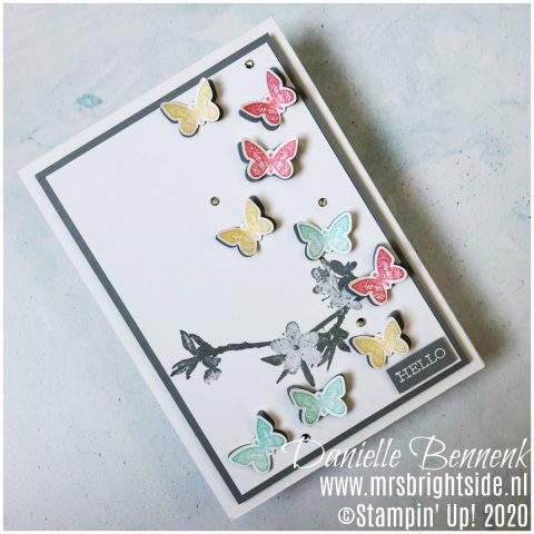 Butterfly Wishes - Creating Kindness - Mrs. Brightside - Danielle Bennenk