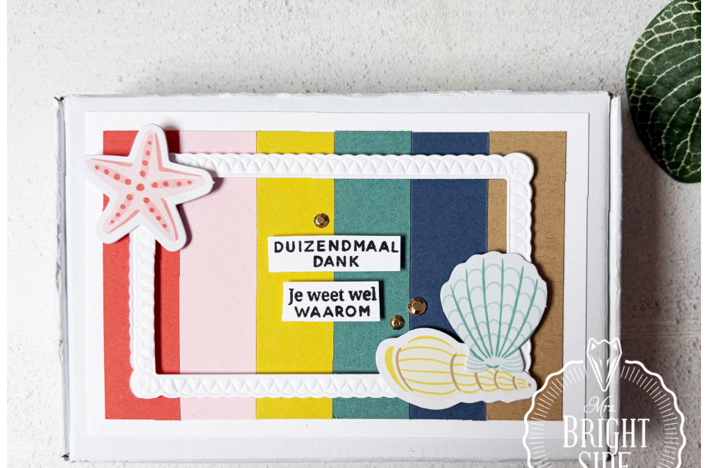 Mix & Match Notecard Set