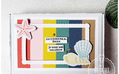 Mix & Match Notecard Set