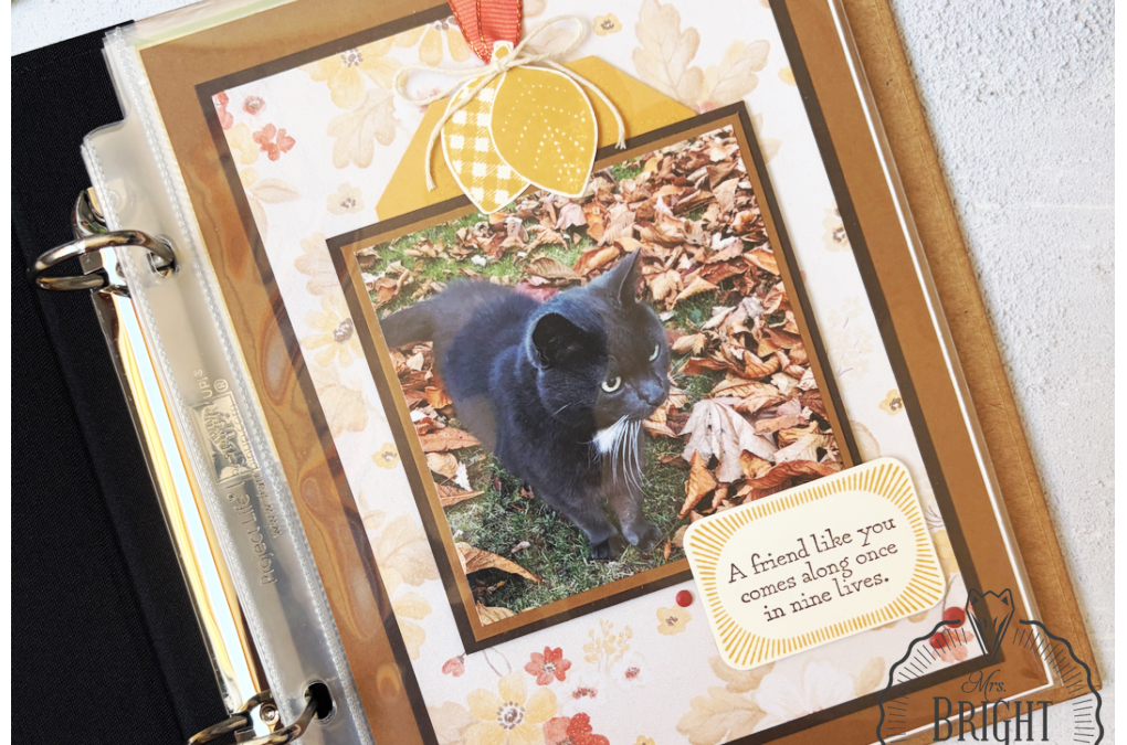 Glow of Harvest Scrap Lay-out – Feel Good Stamping Bloghop