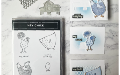 Hey Chick Blog Hop