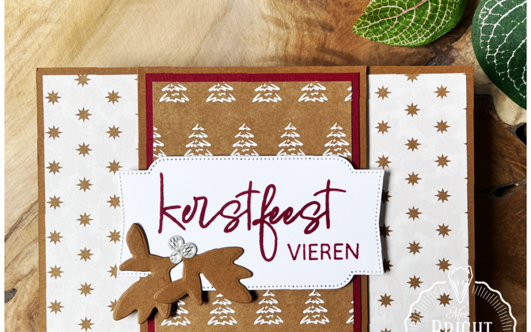 Fijne Tijden Flapkaart – Christmas in July Inspiratie