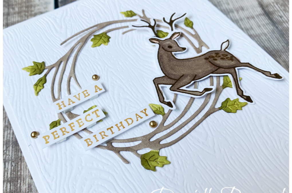 Nature’s Beauty – Stampin’ Creative Bloghop