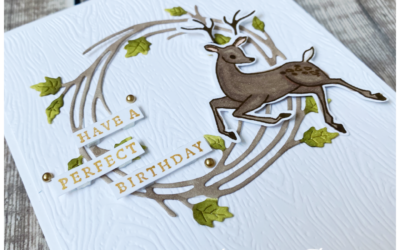 Nature’s Beauty – Stampin’ Creative Bloghop