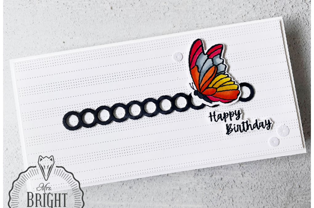 Coneflower Celebrations – In the spotlight 3