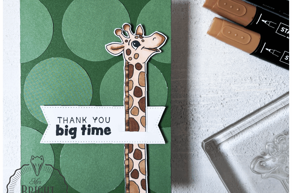 Silly Safari Productpakket – In the spotlight 2
