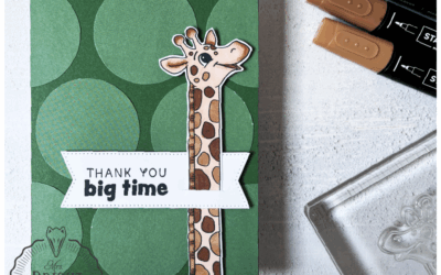 Silly Safari Productpakket – In the spotlight 2