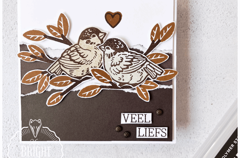 Feathered Fun Vierkante Kaart – In the spotlight 2