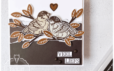 Feathered Fun Vierkante Kaart – In the spotlight 2