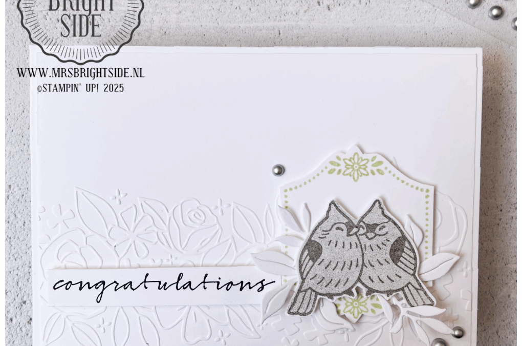 Feathered Fun Wenskaart – In the spotlight 1