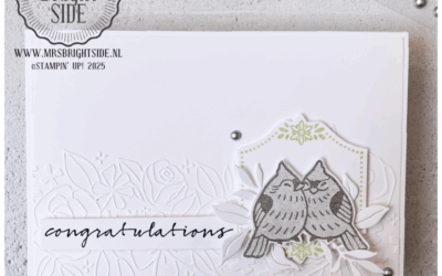 Feathered Fun Wenskaart – In the spotlight 1