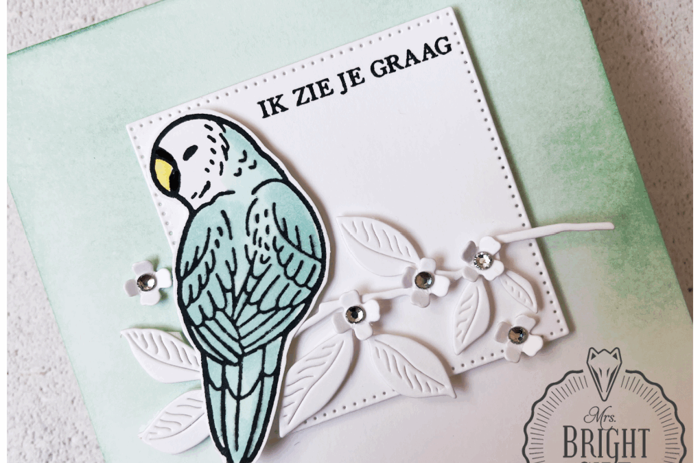 Feathered Fun Frisse Kaart – In the spotlight 3