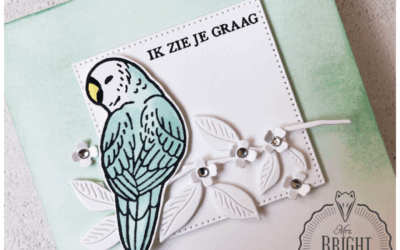 Feathered Fun Frisse Kaart – In the spotlight 3