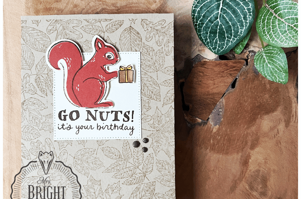 Fluffy Squirrel Verjaardagskaart – In the spotlight 2