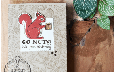 Fluffy Squirrel Verjaardagskaart – In the spotlight 2