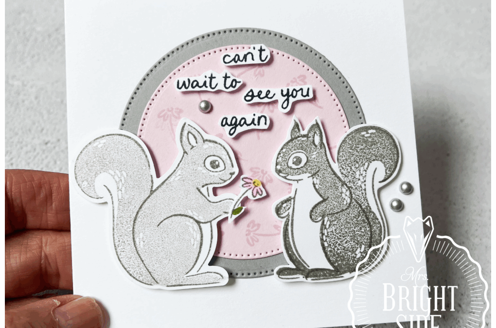 Fluffy Squirrel zacht en fris – In the spotlight 3