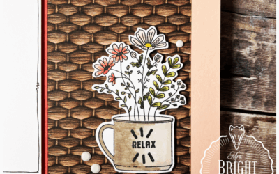 Weekend Adventures – In the spotlight 1