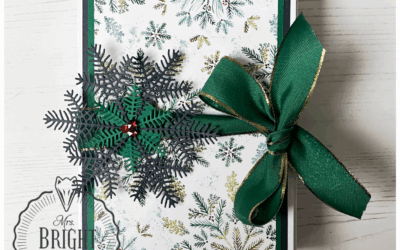 Elegant Pine Snowflakes Mini Album – Stamping Sunday Bloghop