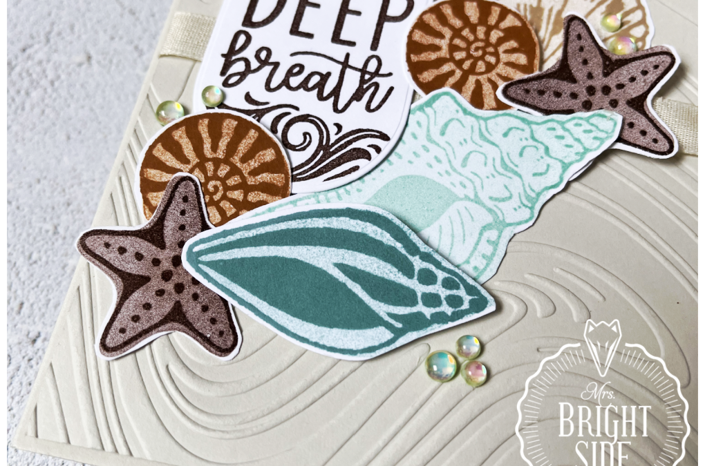 Shell Collecting Wenskaart – In the spotlight