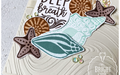 Shell Collecting Wenskaart – In the spotlight