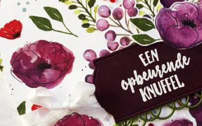 Peaceful Poppies Lente kaart