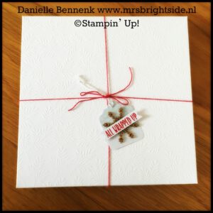 Fancy Frost DSP - Candy Cane Baker's Twine - Tin of Tags project kit & stamp set - Stampin' Trimmer